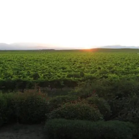 Apartament 8 Pers. - Domaine De Padulone Aléria