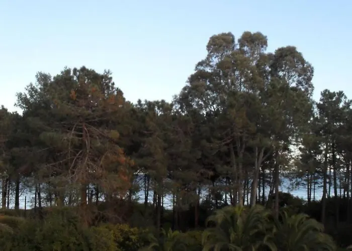 Apartament 8 Pers. - Domaine De Padulone Aléria