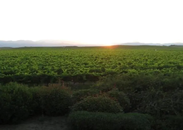 Apartament 8 Pers. - Domaine De Padulone Aléria